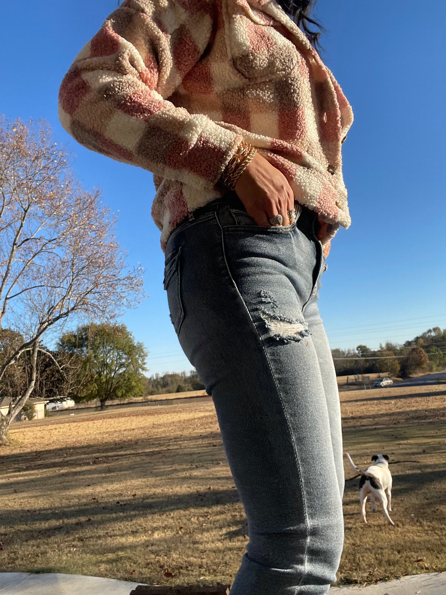 Dreams Come True Denim