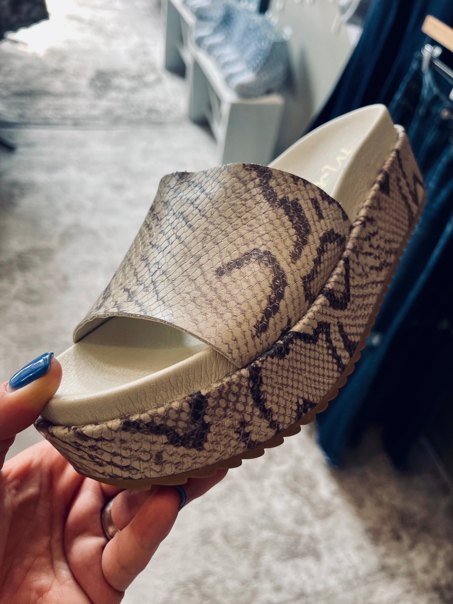 Hideaway Snake